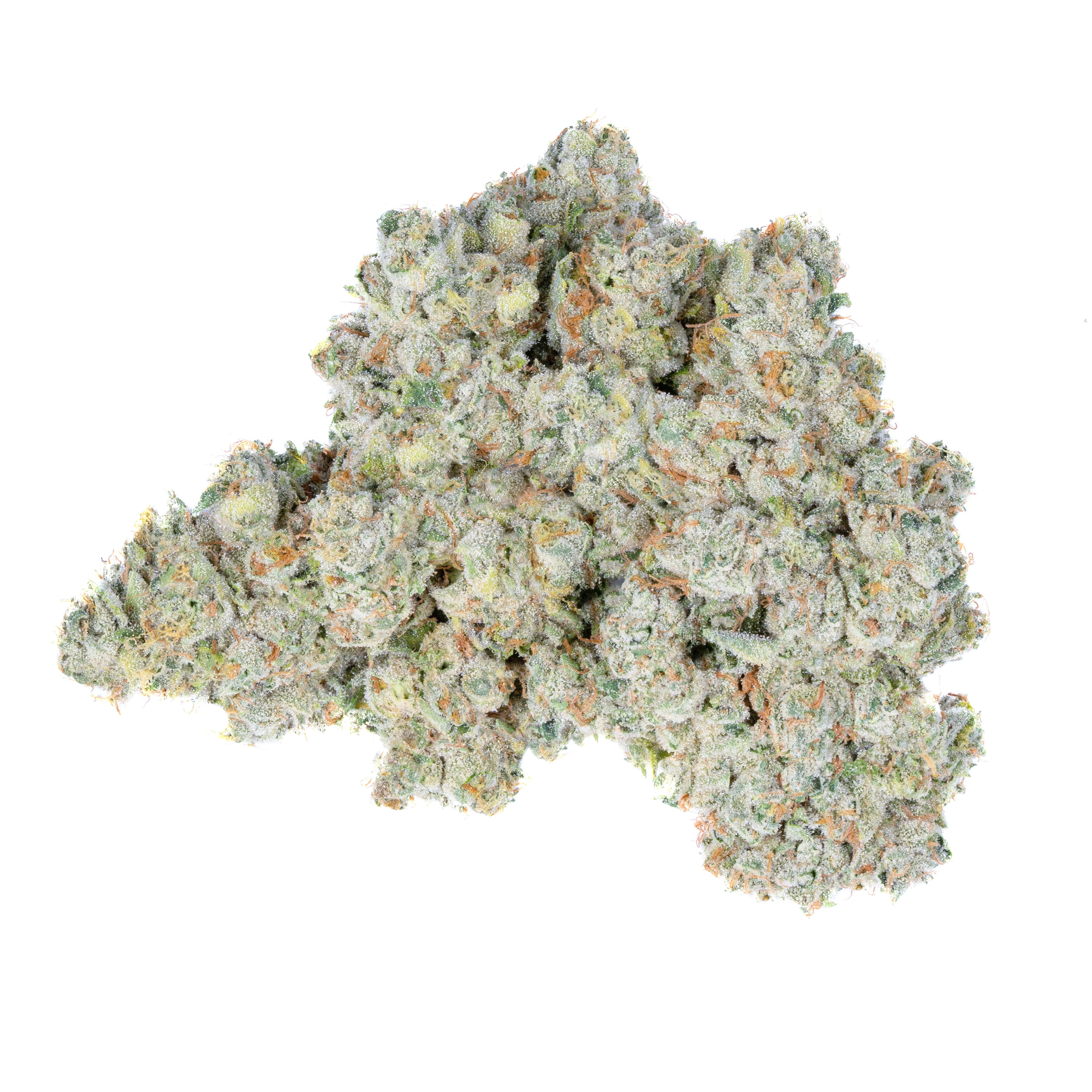 Agent X - Alien Labs