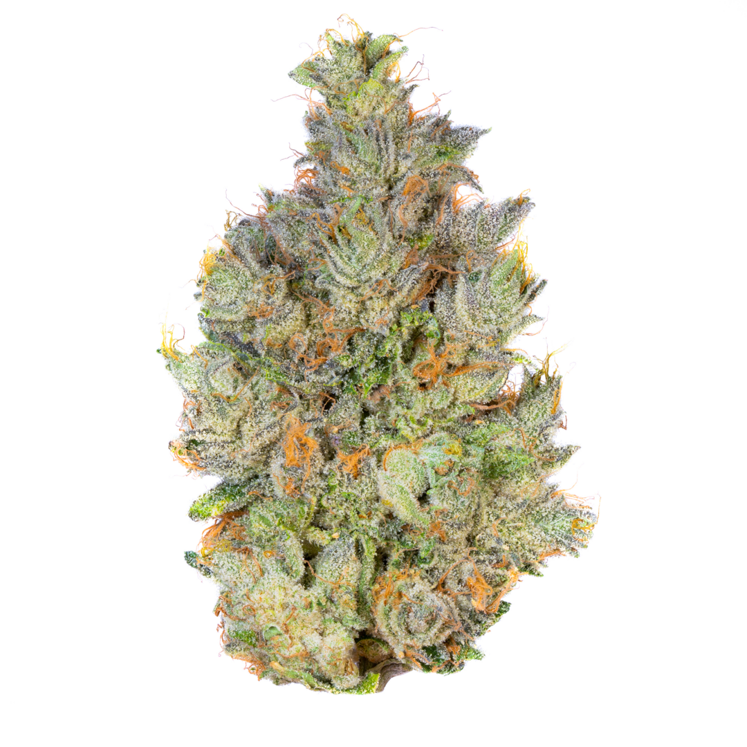 OG Kush Strain: Origins, Benefits, and User Guide