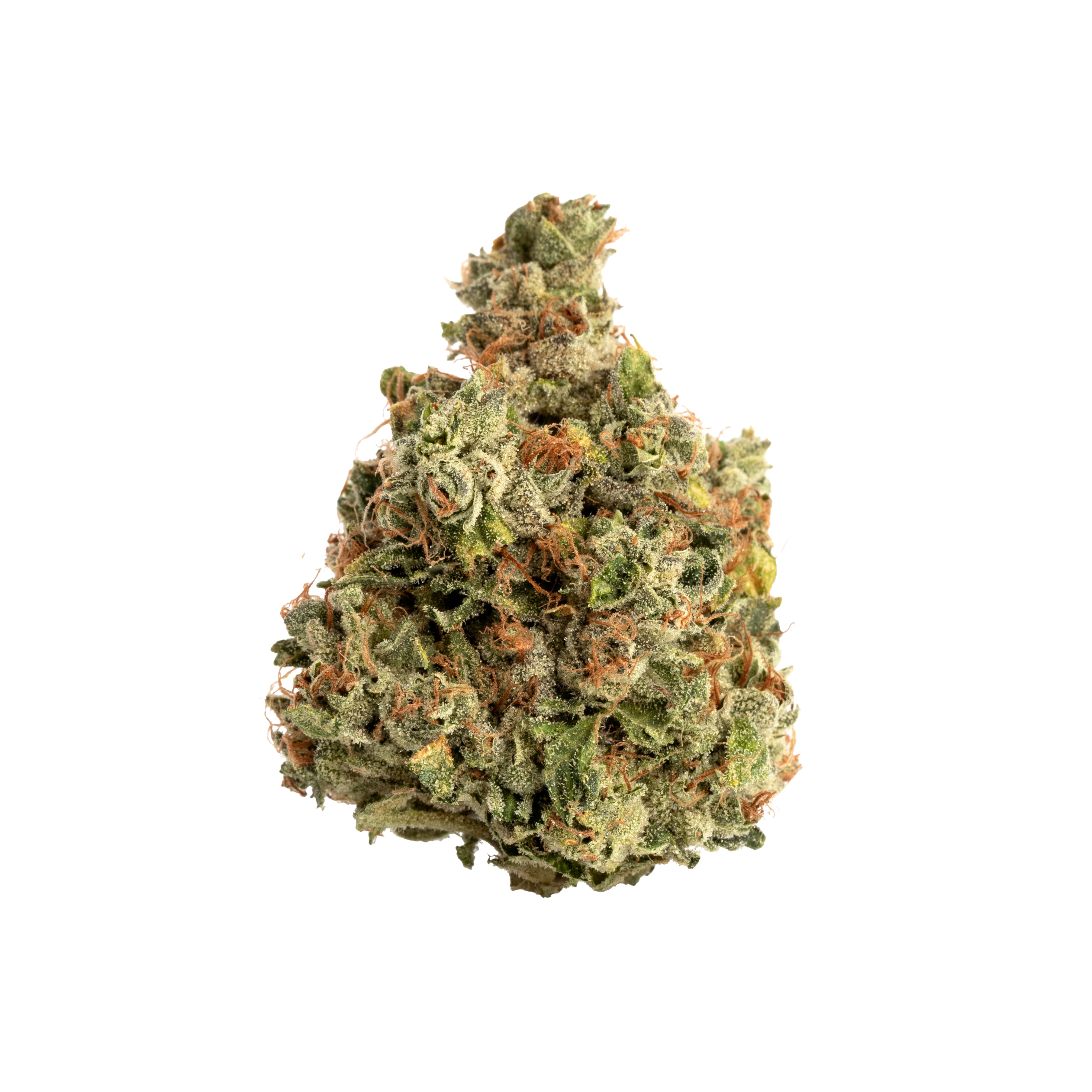 Phoenix Lights (Ponderosa Exclusive)