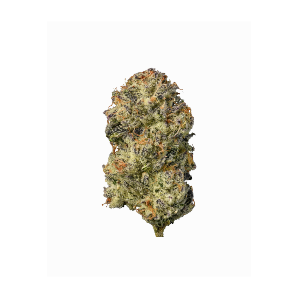 Cosmic Cereal | Alien Labs