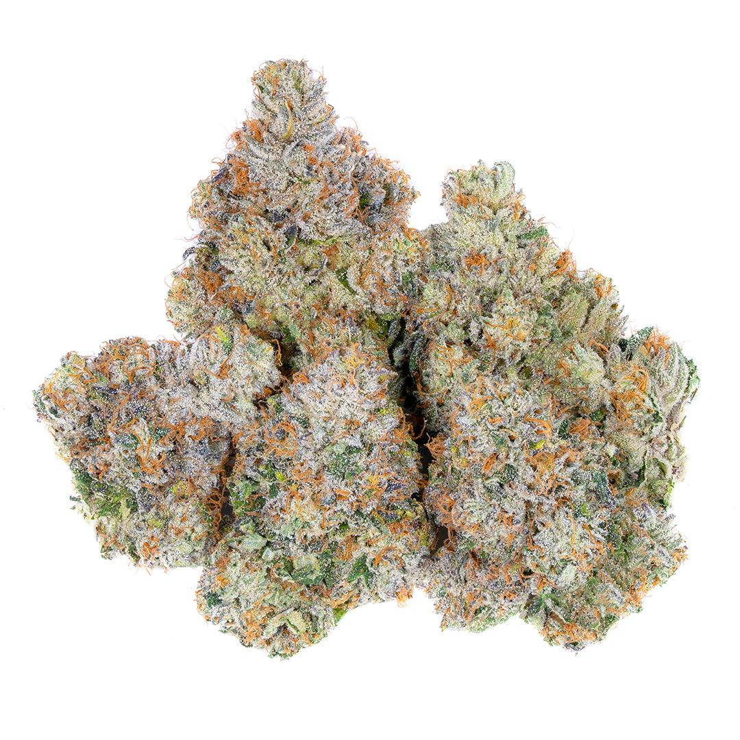 Area 41 | Alien Labs